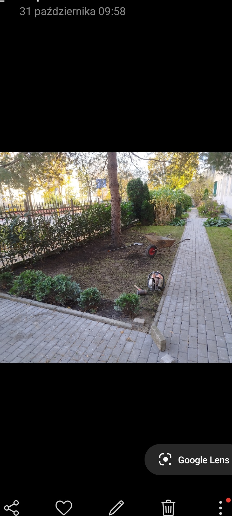 Ogród po niwelacji terenu z nową ścieżką z kostki, świeżo posadzone tuje, widoczny wózek i narzędzia ogrodnicze.