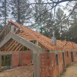 Biotech - Surowy stan budynku z czerwonej cegły z drewnianą konstrukcją dachu na tle lasu. Widoczne niedokończone ściany i otwory okienne. Etap budowy domu jednorodzinnego.