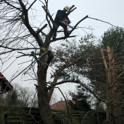 Adriana Hremerchuk - Dekarz Warszawa