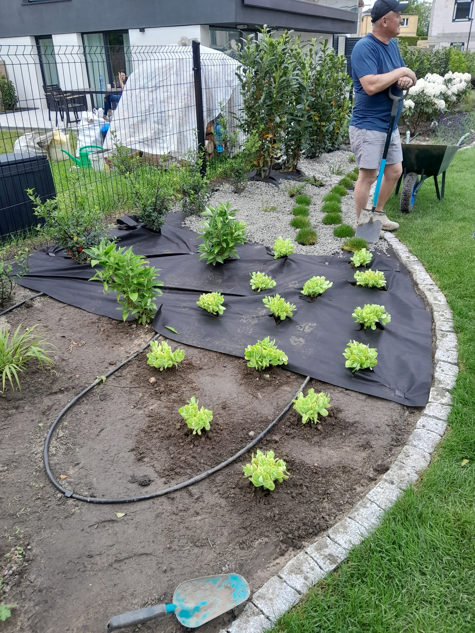 Sadzenie roślin na czarnej macie w ogrodzie z obrzeżem z kamienia. Widoczny system nawadniania, narzędzia i ogrodnik z łopatą.