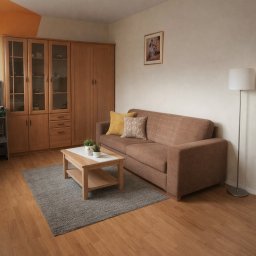 Fast Emptying - Umeblowany salon w Szczecinie: brązowa sofa z poduszkami, drewniany stół z roślinami, dywan i regał z przeszkleniami. Przytulne wnętrze po sprzątaniu.