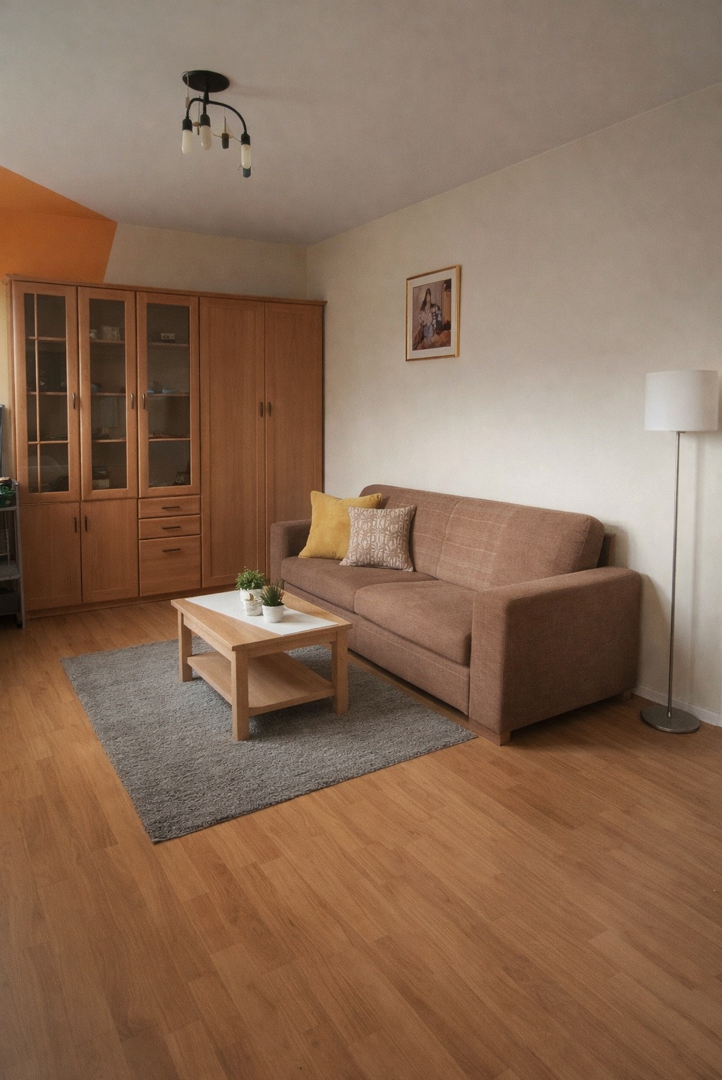 Umeblowany salon w Szczecinie: brązowa sofa z poduszkami, drewniany stół z roślinami, dywan i regał z przeszkleniami. Przytulne wnętrze po sprzątaniu.