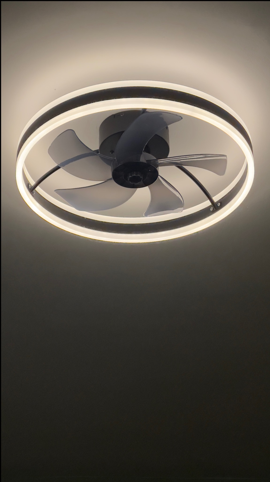 Zamontowany, nowoczesny wentylator sufitowy z oświetleniem LED w kształcie okręgu. Czarno-szare łopatki wentylatora. Widok od dołu na tle sufitu.
