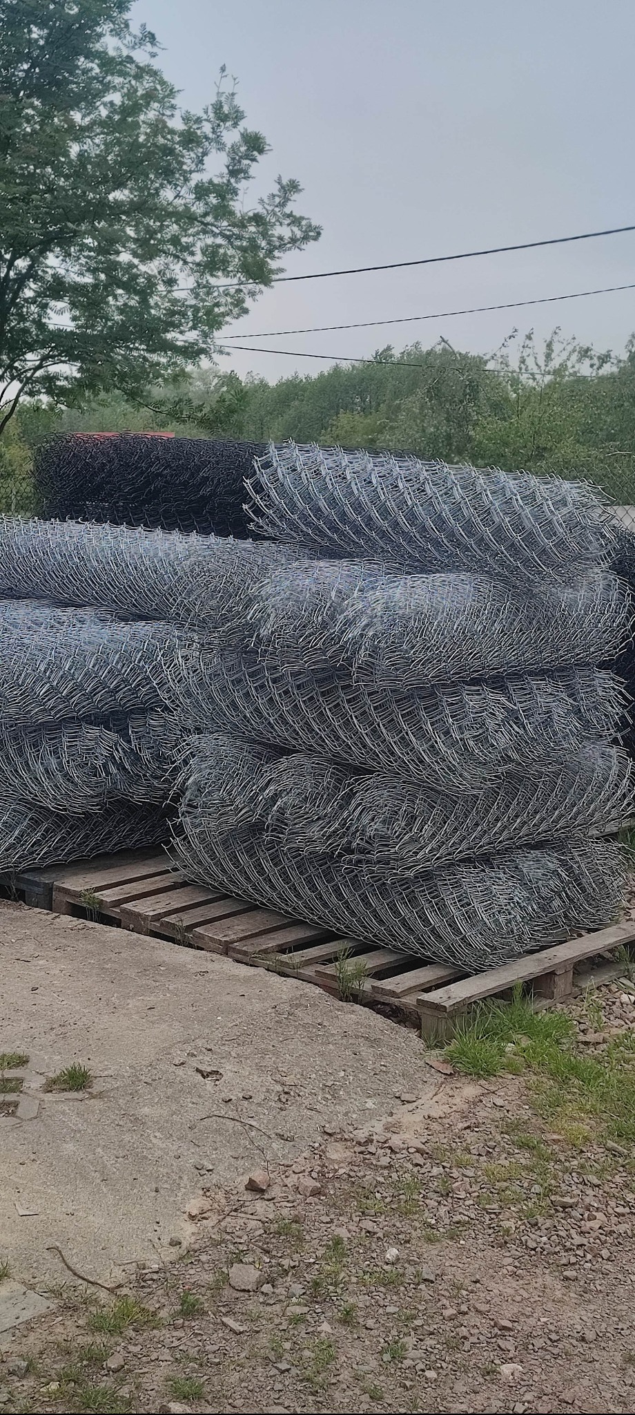 Siatka ogrodzeniowa zwinięta w rolki, ułożona na palecie w Wieliczce. Widoczne oczka siatki i metaliczny połysk. W tle zieleń drzew.