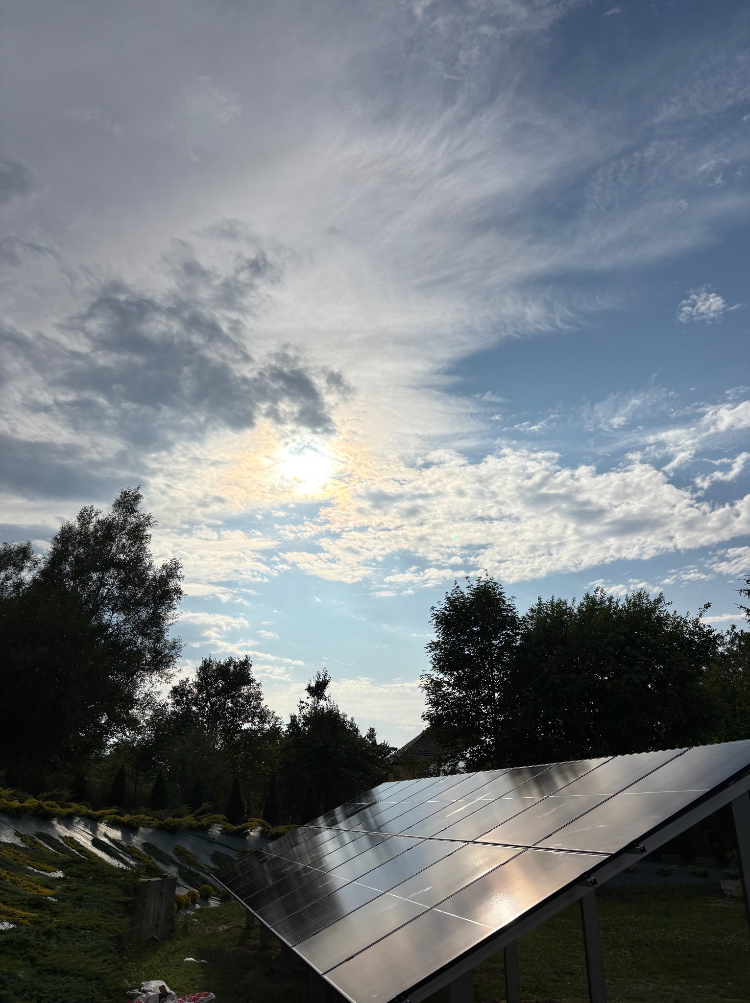 Błyszczące panele słoneczne odbijają niebo z chmurami, otoczone zielenią drzew i krzewów. Instalacja wkomponowana w krajobraz, widok z dołu.