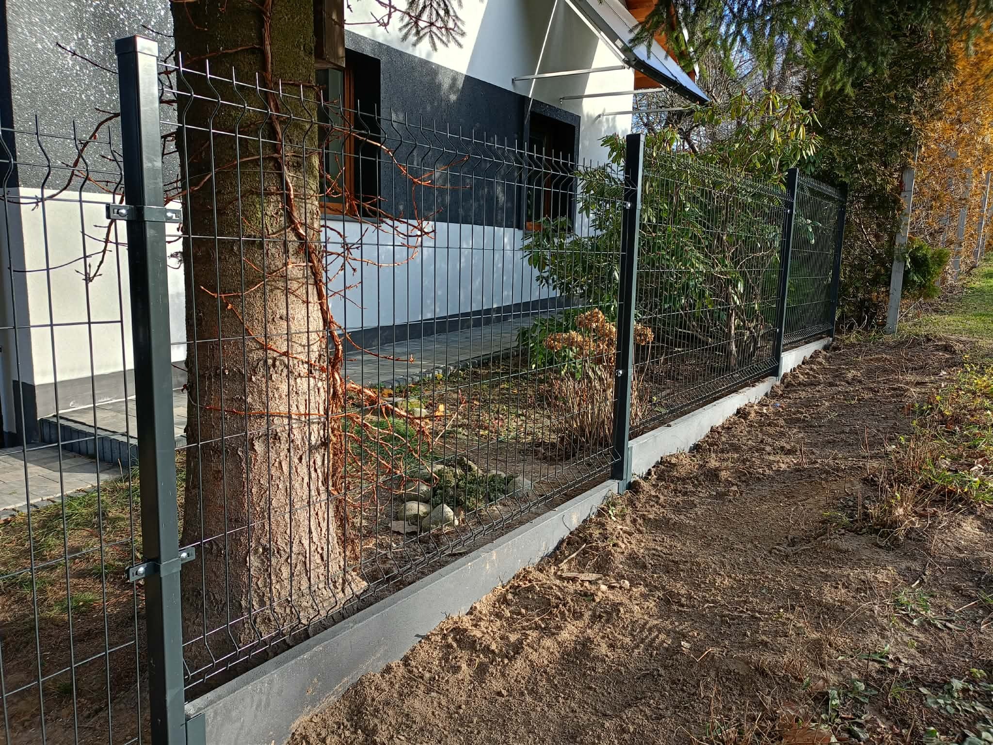 Nowoczesne ogrodzenie panelowe w kolorze grafitowym, z podmurówką betonową, otaczające posesję z drzewem wkomponowanym w linię ogrodzenia. Widok z zewnątrz.