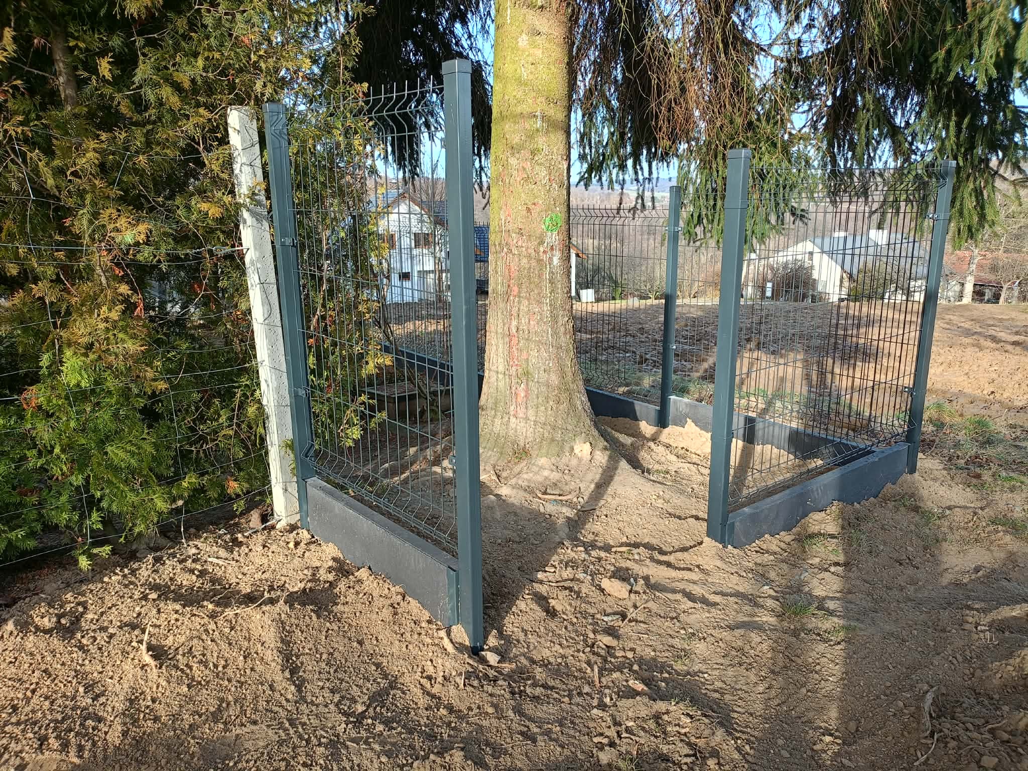 Montaż ogrodzenia panelowego wokół drzewa, z betonową podmurówką. Widoczne słupki i siatka ogrodzeniowa na tle zieleni i zabudowań.