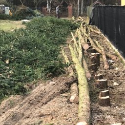 Wycinka drzew Poręba-Kocęby 4