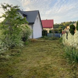 Bartosz Swierczyna - Świeżo skoszony trawnik w Dąbrowie Górniczej, z widocznymi resztkami trawy. W tle domy z różnymi kolorami dachów i ozdobne rośliny.
