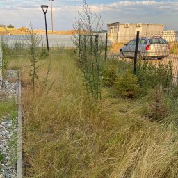 Bartosz Swierczyna - Zakładanie trawnik&oacute;w Dąbrowa G&oacute;rnicza