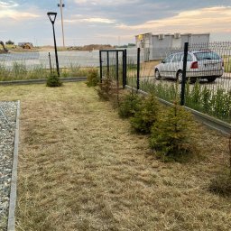 Zakładanie ogrodów Dąbrowa Górnicza 4