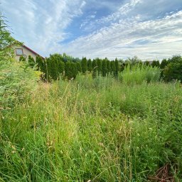 Bartosz Swierczyna - Sadzenie drzew i krzew&oacute;w Dąbrowa G&oacute;rnicza