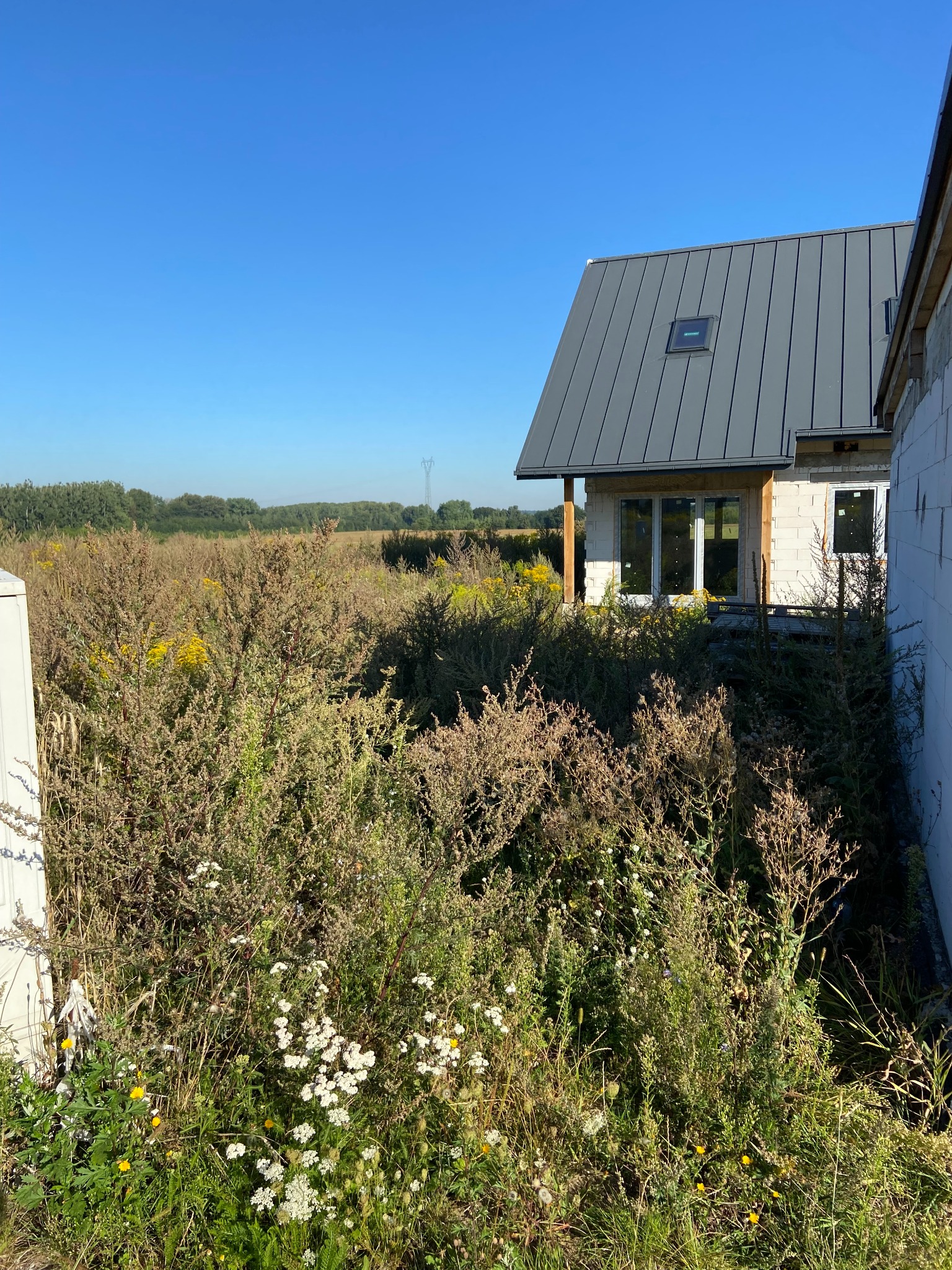 Niedokończony dom z szarego metalu na dachu, otoczony wysoką trawą i chwastami. Widoczne białe ściany z pustaków i drewniane elementy konstrukcyjne.