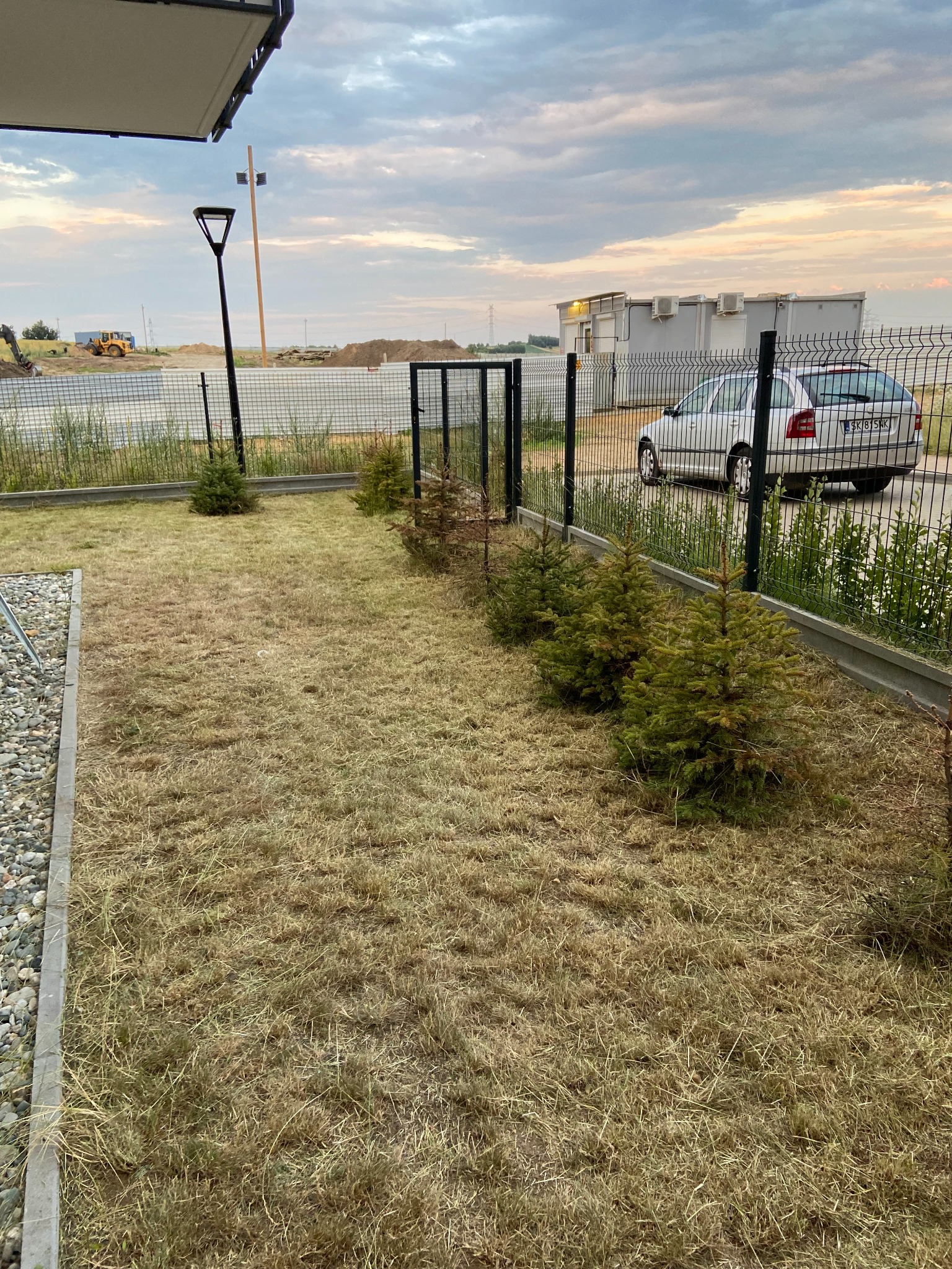 Nowo posadzone małe drzewka iglaste wzdłuż ogrodzenia z siatki na tle wyschniętej trawy. W tle budynek i maszyna budowlana.