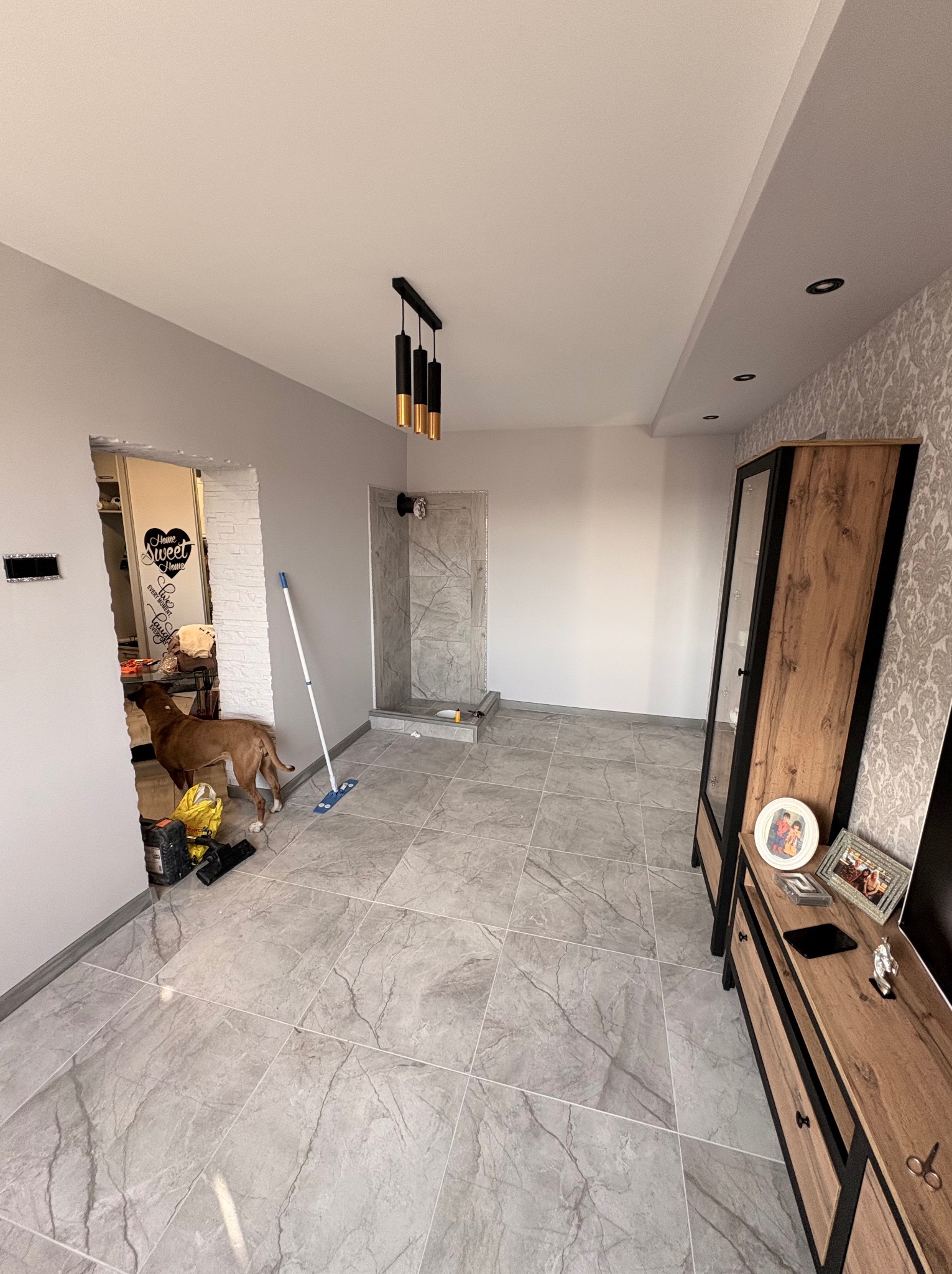 Wykończone wnętrze z szarą marmurkową podłogą i częściowo wykończoną łazienką. Pies przy wejściu do pomieszczenia. Widoczna szafka RTV i lampa sufitowa.