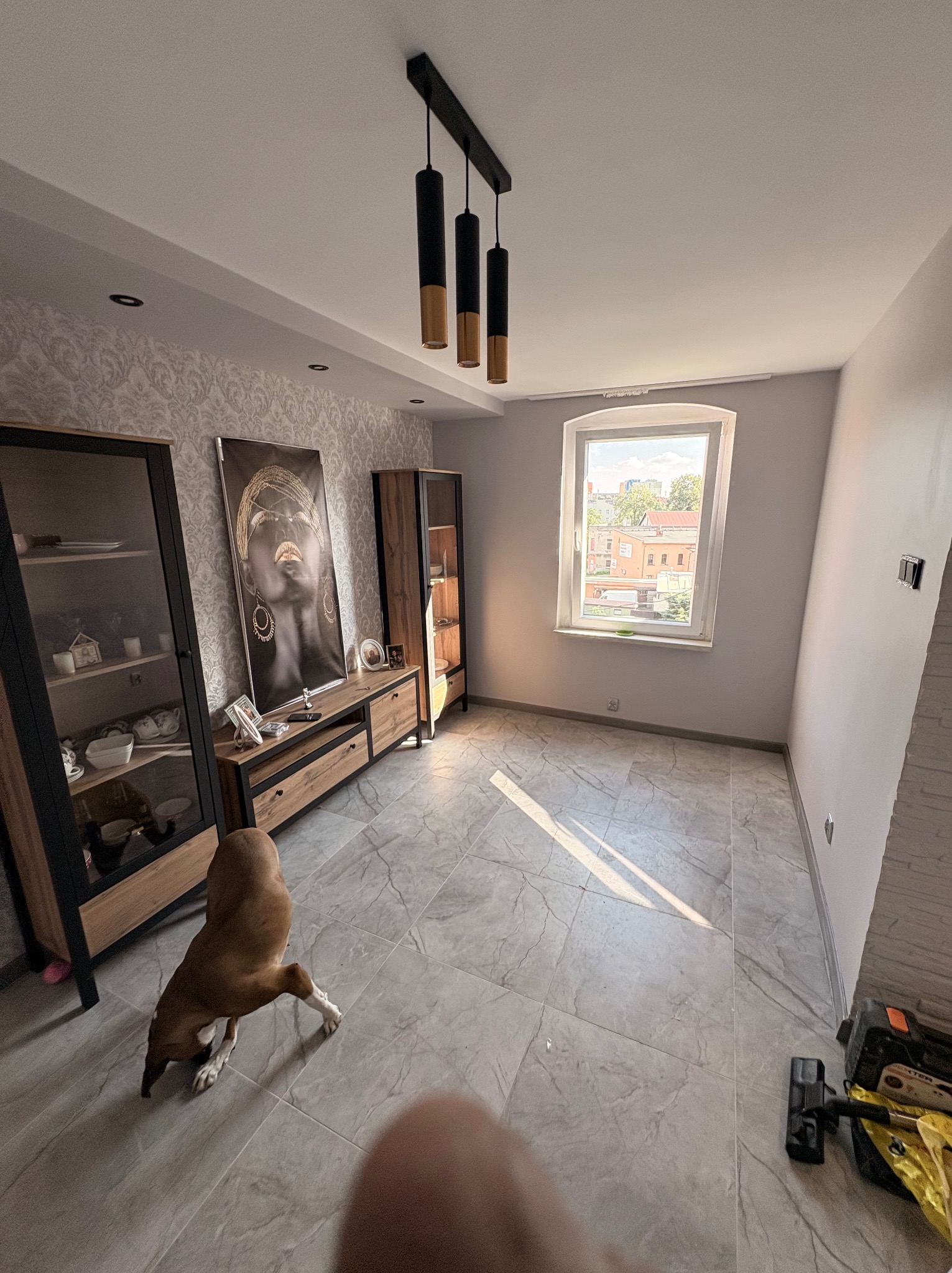 Jasne wnętrze po remoncie z szarą marmurową podłogą, nowoczesnymi meblami i psem w kadrze. Widok na okno z widokiem na miasto. Nowoczesne oświetlenie sufitowe.