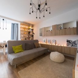 A-PROject Alexandr Karpeliov - Jasne wnętrze pokoju dziennego z drewnianą podłogą, szarą sofą z zieloną poduszką i regałem z książkami w tle. Dekoracyjne oświetlenie dodaje przytulności.