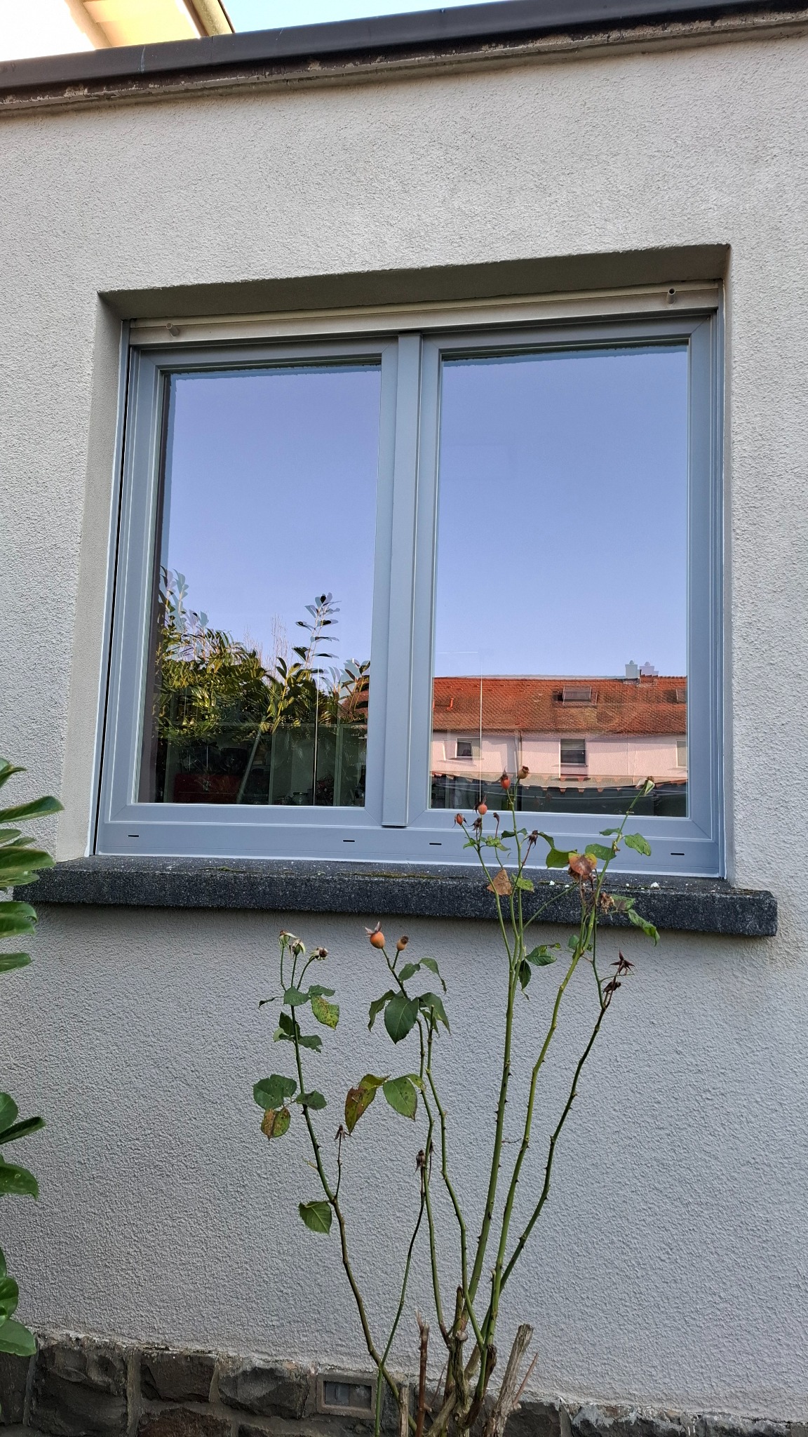 Szare okno PCV z widocznym odbiciem nieba i budynku w szybie, na tle szarego tynku i roślinności. Widok z zewnątrz, w słoneczny dzień.