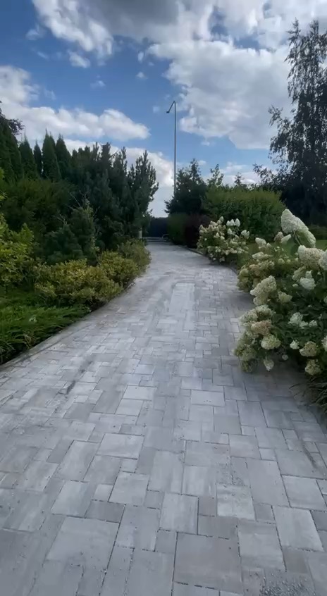 Ścieżka z kostki brukowej w ogrodzie, Wrocław. Szara kostka ułożona w nieregularny wzór, otoczona zielenią i kwitnącymi krzewami hortensji. Słoneczny dzień.