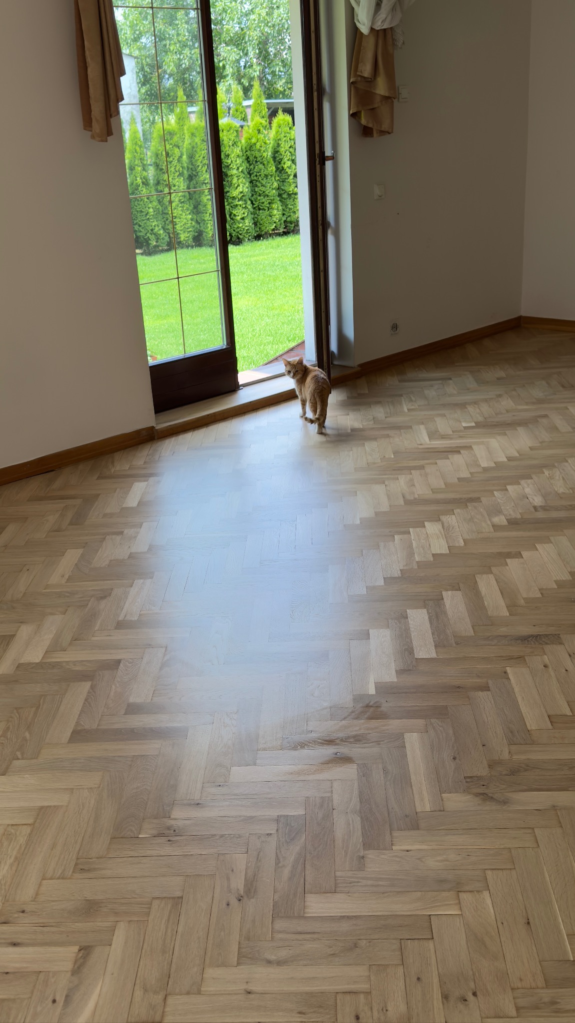 Kotku Się Podobało