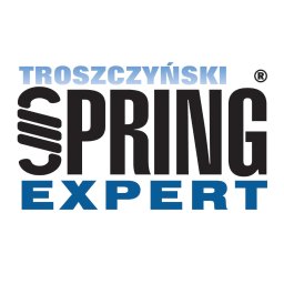 Wyrób Sprężyn Bogusław Troszczyński
