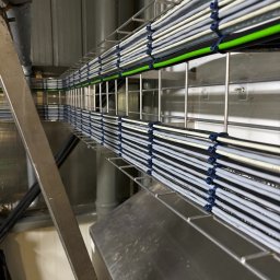 ELEKTRYKA NORBERT SIEKAŃSKI ELENS - Rząd kabli w metalowej korycie, zabezpieczonych niebieskimi opaskami, ułożonych równolegle wzdłuż ściany. Widok z dołu, perspektywa zbieżna.