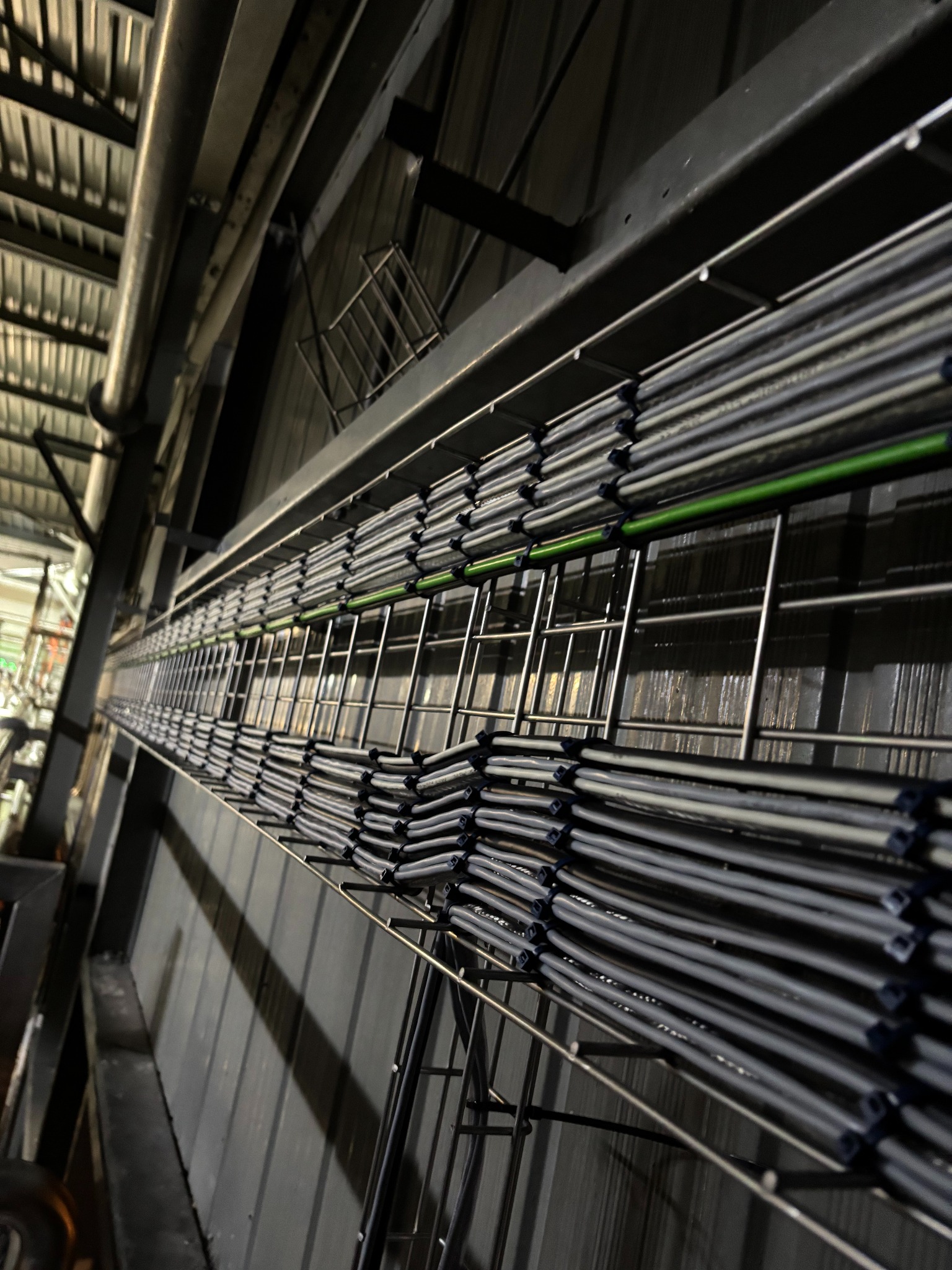 Ułożone równolegle kable w metalowej korycie kablowej, widok z dołu pod kątem. Jeden kabel w kolorze zielonym. Szara ściana w tle.
