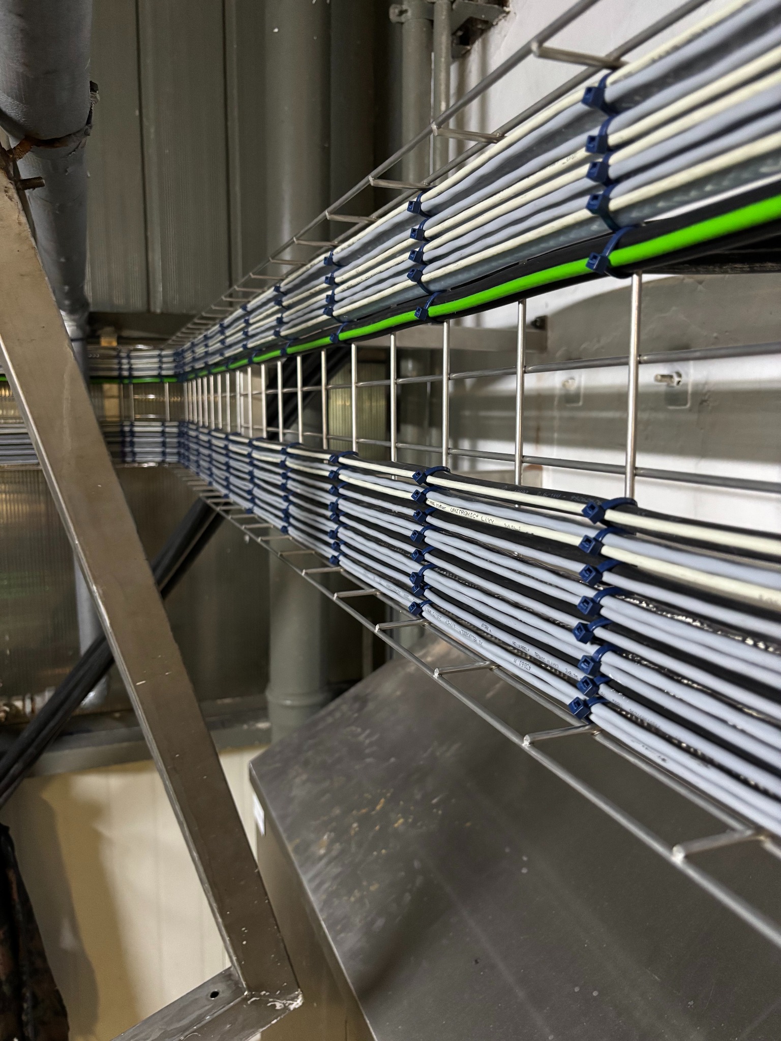 Rząd kabli w metalowej korycie, zabezpieczonych niebieskimi opaskami, ułożonych równolegle wzdłuż ściany. Widok z dołu, perspektywa zbieżna.