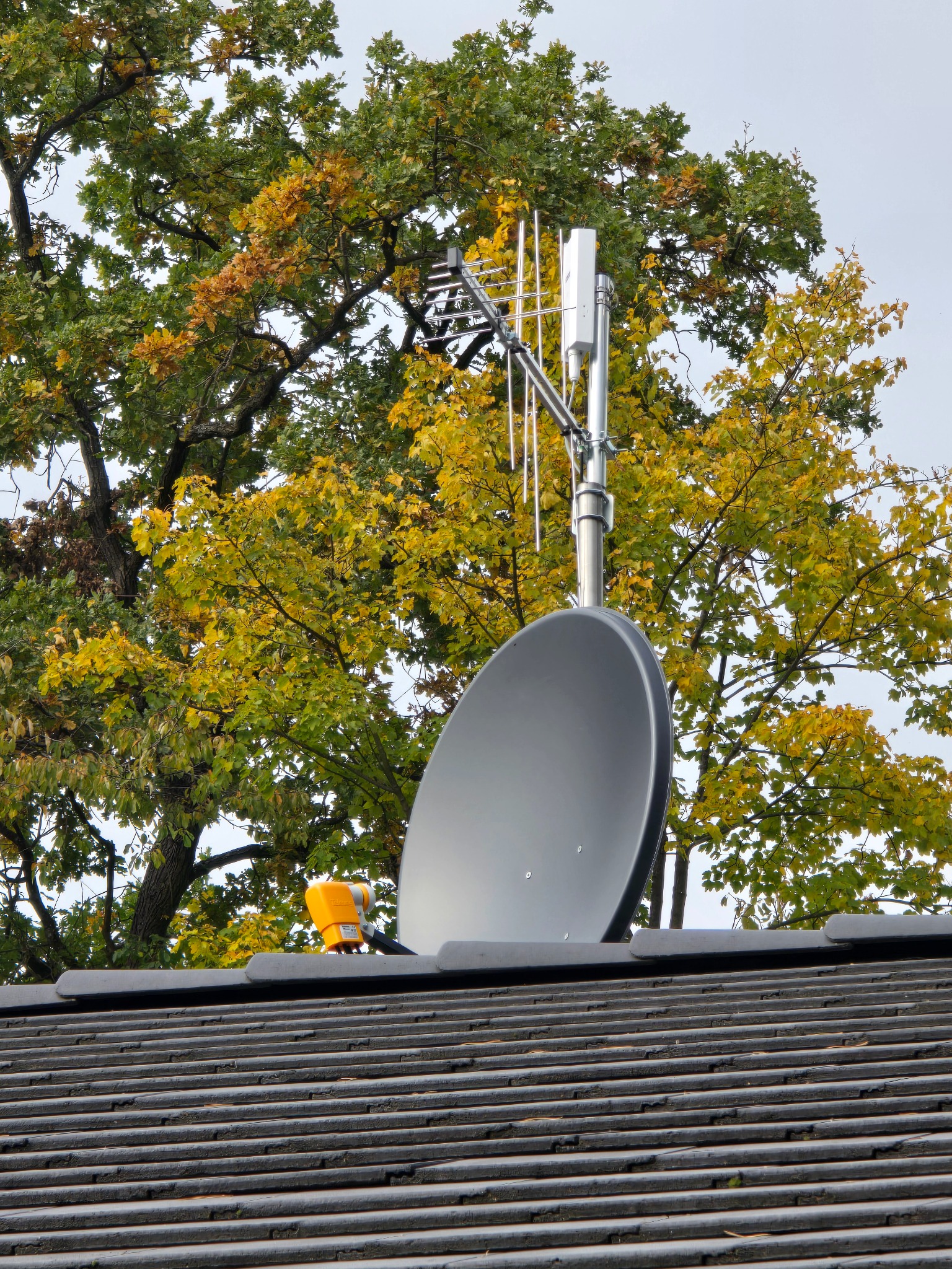 Antena satelitarna i antena Yagi-Uda zamontowane na dachu domu, na tle drzewa z żółknącymi liśćmi. Widok z dołu, podkreślający instalację antenową.