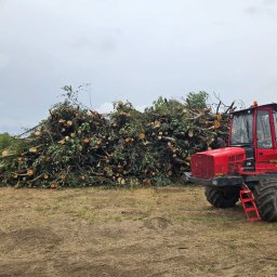 Wycinka drzew Koziegłowy 4