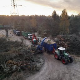 Wycinka drzew Koziegłowy 3