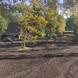 Wycinka drzew Koziegłowy 2