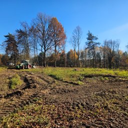 Wycinka drzew Koziegłowy 1