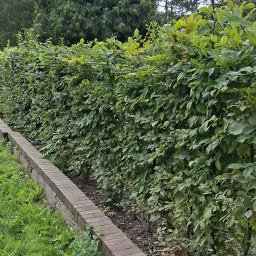 ProBil Patryk Bilewicz - Ogrodnik Chorz&oacute;w