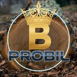 ProBil Patryk Bilewicz - Pielęgnacja Drzew Chorz&oacute;w