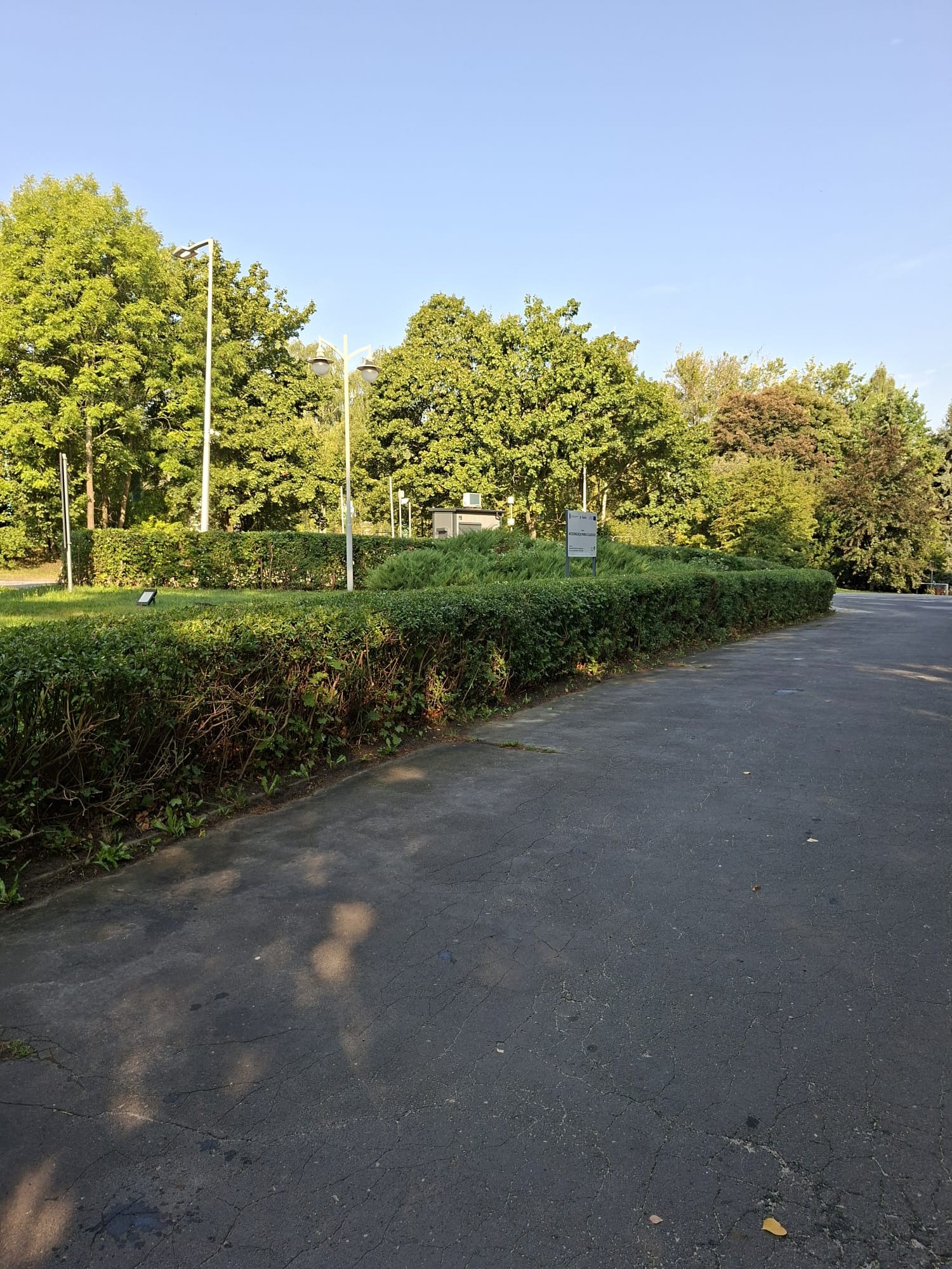 Zadbany żywopłot z równo przyciętymi krzewami w parku miejskim, oświetlony latarniami. W tle drzewa i budynek. Asfaltowa ścieżka z delikatnymi cieniami.