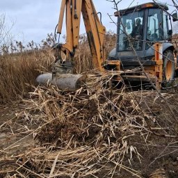 Wykop pod szamba Jasieniec 2