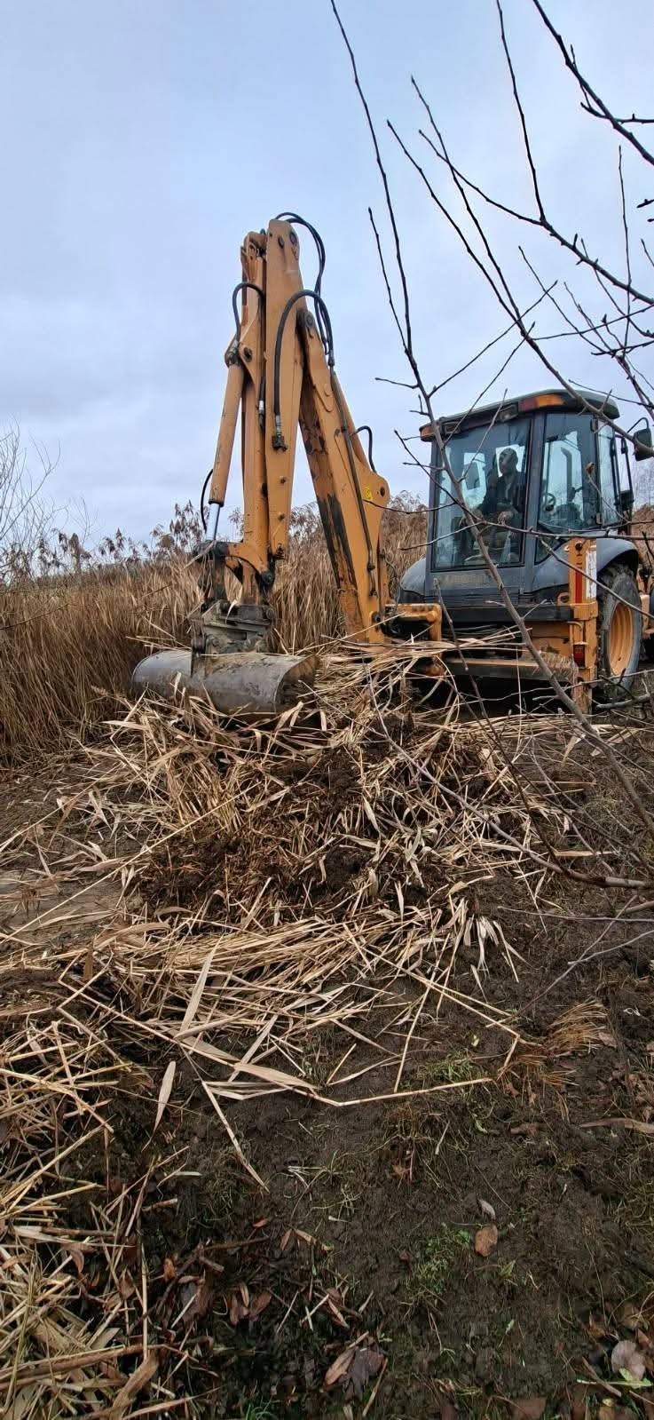 Żółta koparko-ładowarka w Jasieńcu usuwa trzcinę z terenu. Widoczne wysokie trawy i operator w kabinie. Prace ziemne w toku.