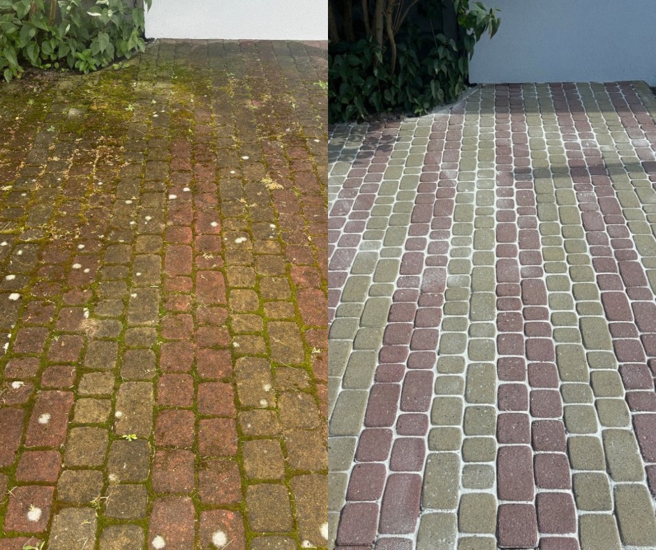 Kostka brukowa przed i po czyszczeniu: po lewej stronie zielony nalot, po prawej czysta, dwukolorowa kostka. Widoczne rośliny w tle.