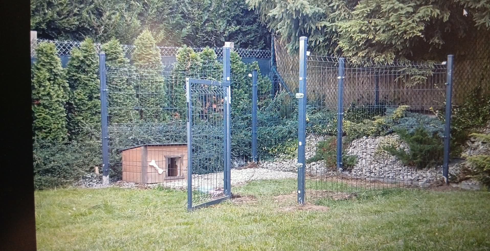 Szara, panelowa furtka ogrodzeniowa otwarta na trawniku, z budą dla psa z kością w tle, otoczona zielenią i drzewami. Widok na posesję.