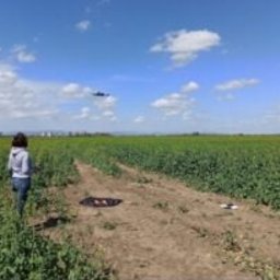 EcoTech IDEAS Anna Małek - nalot BSP - ocena kondycji roślin