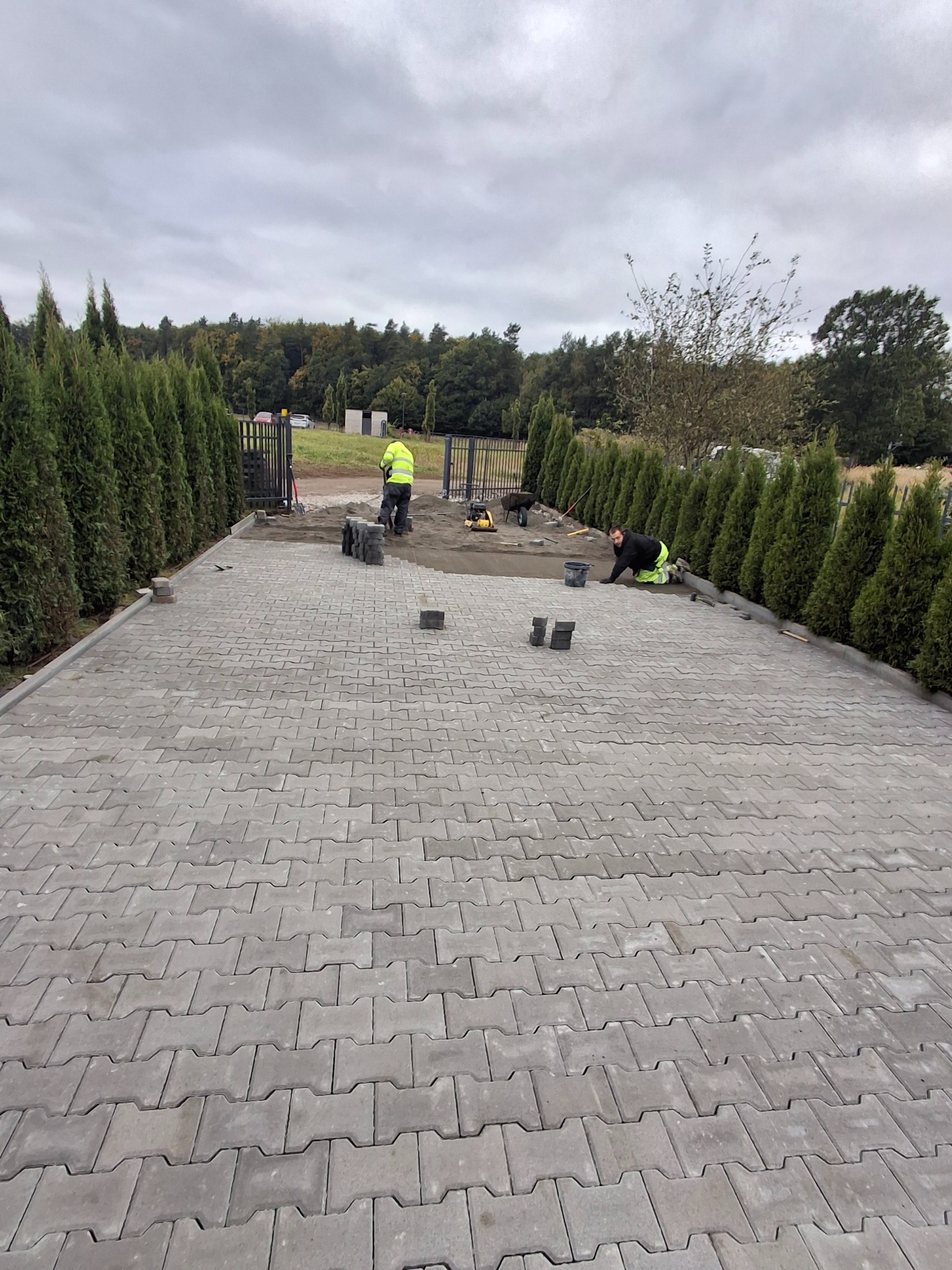 Ułożona szara kostka brukowa na podjeździe, widoczni dwaj pracownicy w odblaskowych ubraniach, jeden ubija ziemię, drugi klęczy przy kostce. Tuje po bokach.