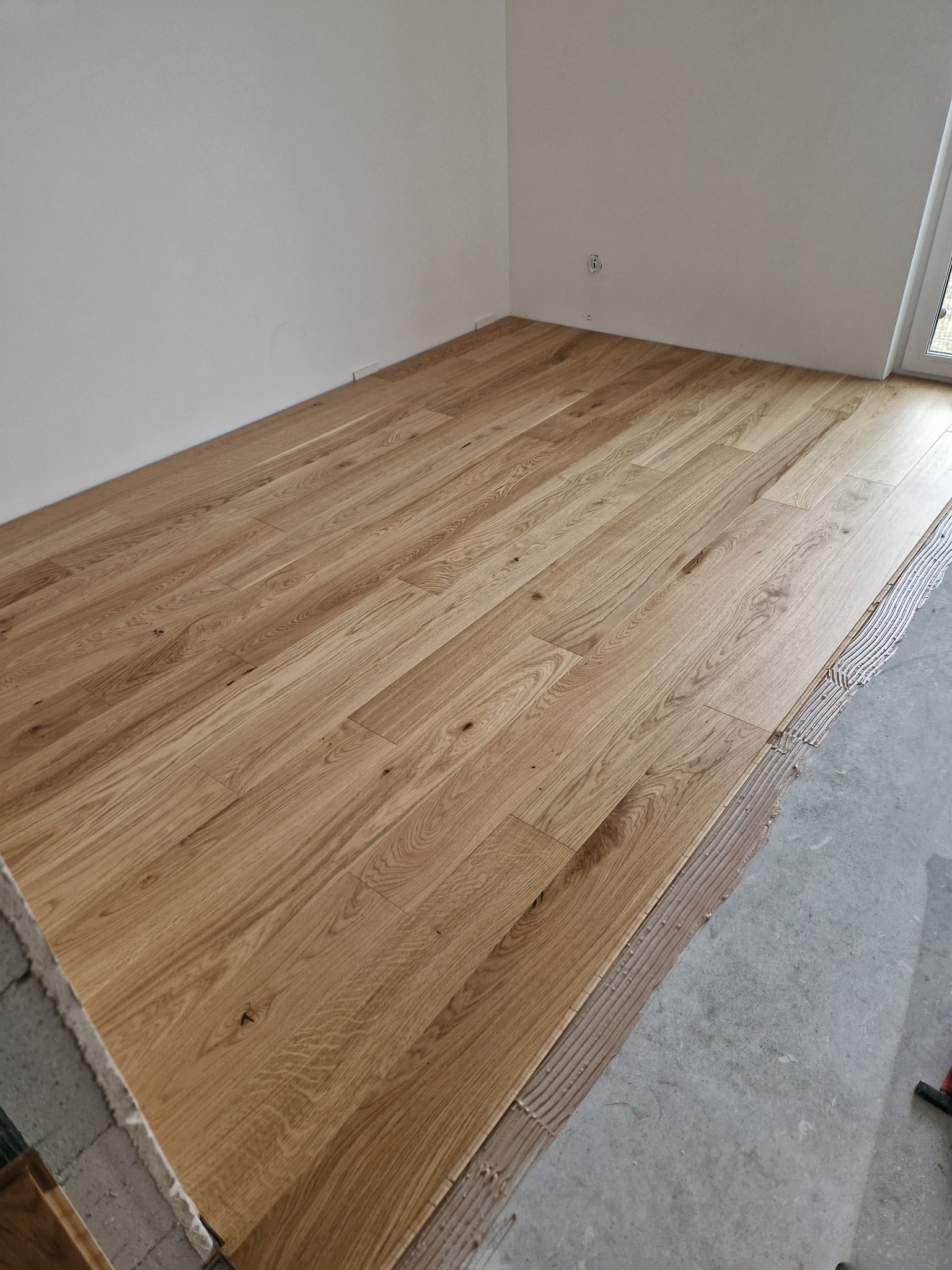 Jasny, dębowy parkiet ułożony w nowym wnętrzu. Widoczny klej i surowy beton. Świeżo wykończona podłoga z naturalnego drewna w minimalistycznym pomieszczeniu.