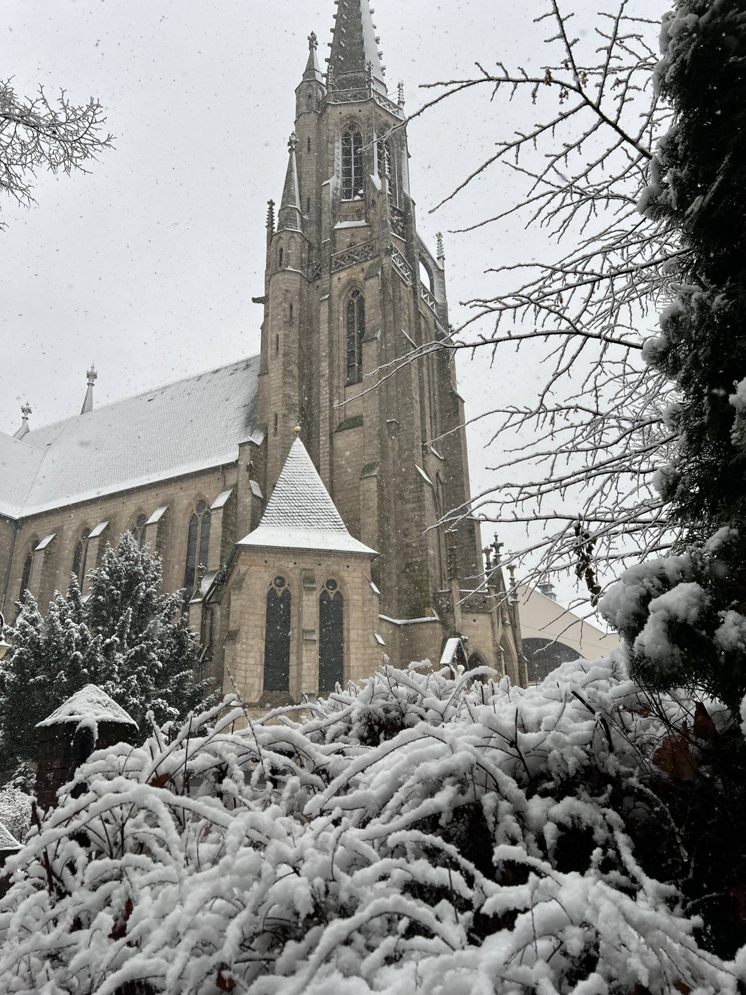 Kościół Niepokalanego Poczęcia w Katowicach pod śniegiem, widok z dołu przez ośnieżone krzewy. Zimowa sceneria, padający śnieg.