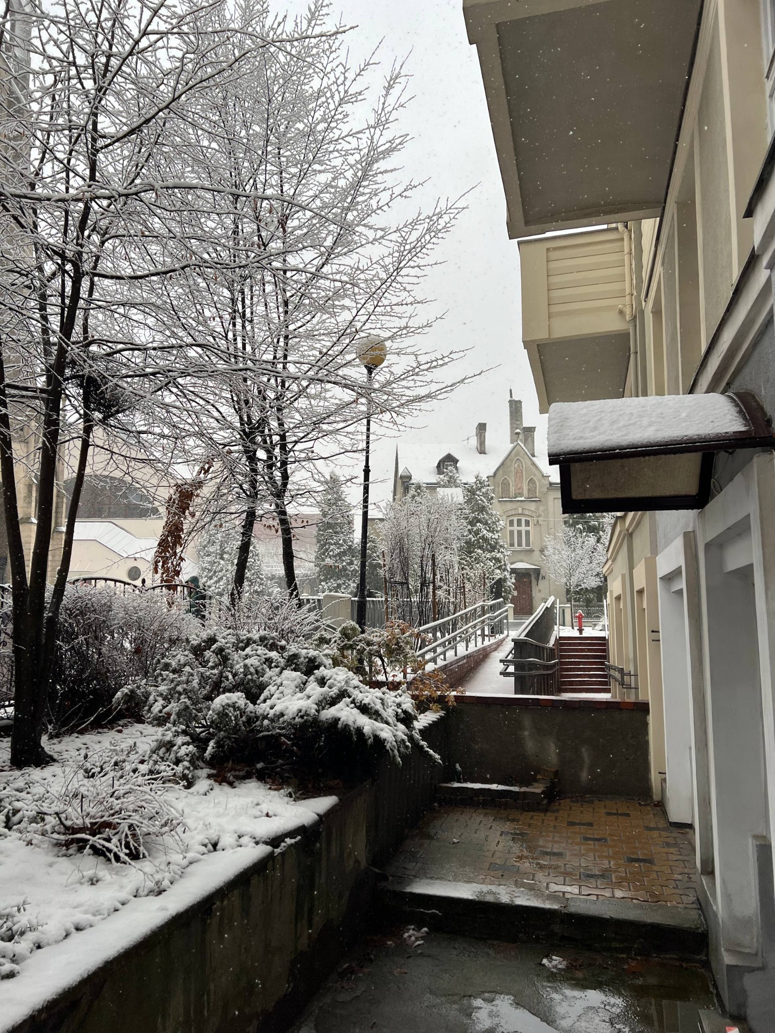 Zimowy krajobraz miejski: śnieg pokrywa drzewa, krzewy i budynki. Widoczny chodnik, schody i latarnia. Śnieg pada, tworząc malowniczy, zimowy widok.