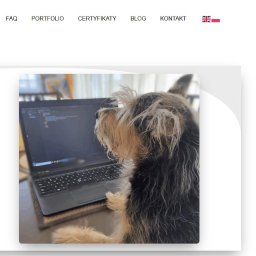 Tworzenie stron internetowych Marki 2