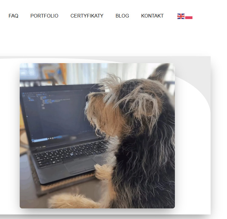 Pies Yorkshire Terrier patrzy na laptopa z kodem, siedząc przy biurku. Widoczny fragment menu strony internetowej: FAQ, Portfolio, Certyfikaty, Blog, Kontakt.