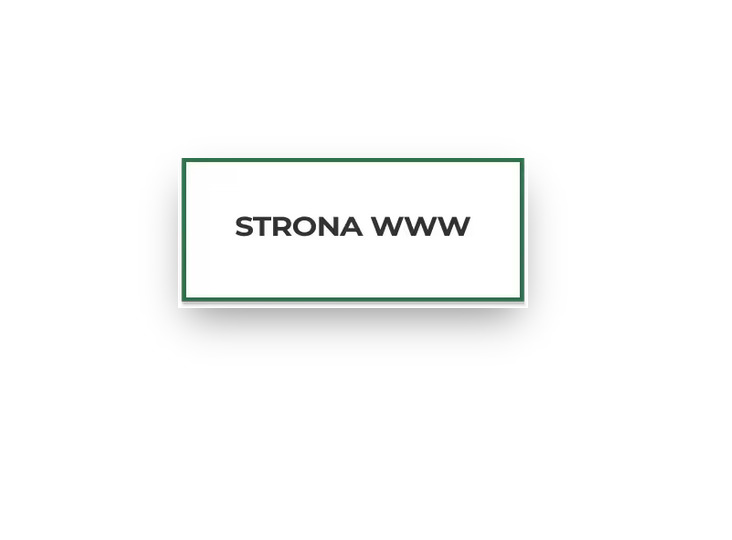 Grafika z napisem 'STRONA WWW' w prostokątnej ramce z zieloną obwódką, umieszczona na białym tle z delikatnym cieniem, sugerująca wizytówkę lub logo.