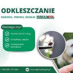 Dezynsekcja i deratyzacja Gdańsk 4