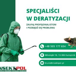 Dezynsekcja i deratyzacja Gdańsk 3